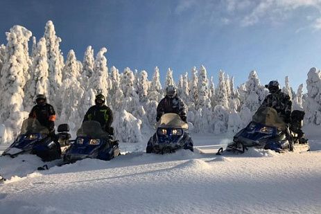 Снегоходный тур по национальному парку "Паанаярви" 3 дня в Заполярье